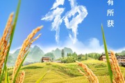 烟台芒种节气小知识来了 夏种作物都有什么？